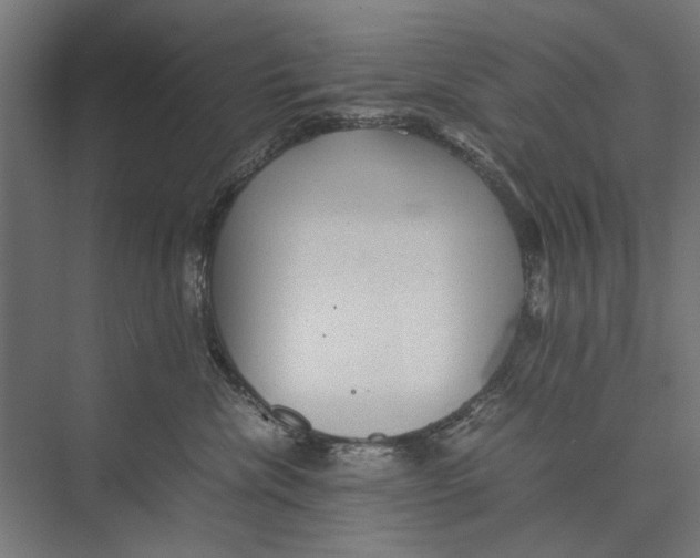 X0000075380476200610061843