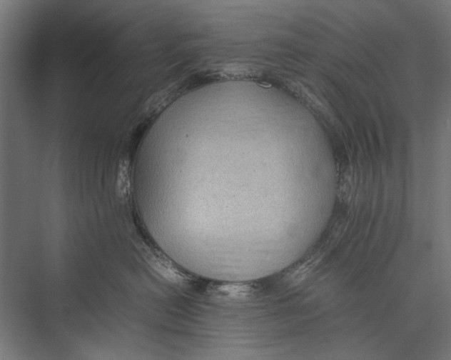 X0000075380478200610061843