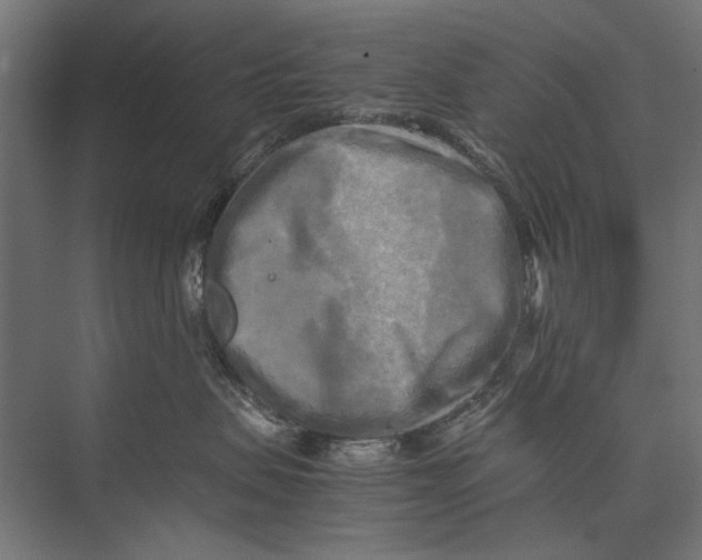 X0000075380479200610061843