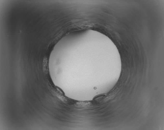 X0000075380480200610061843