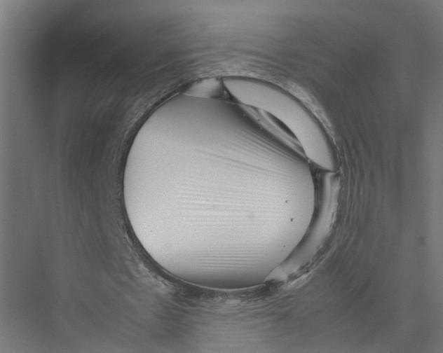 X0000075380481200610061843