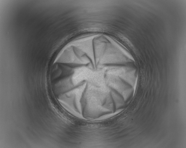 X0000075380482200610061843