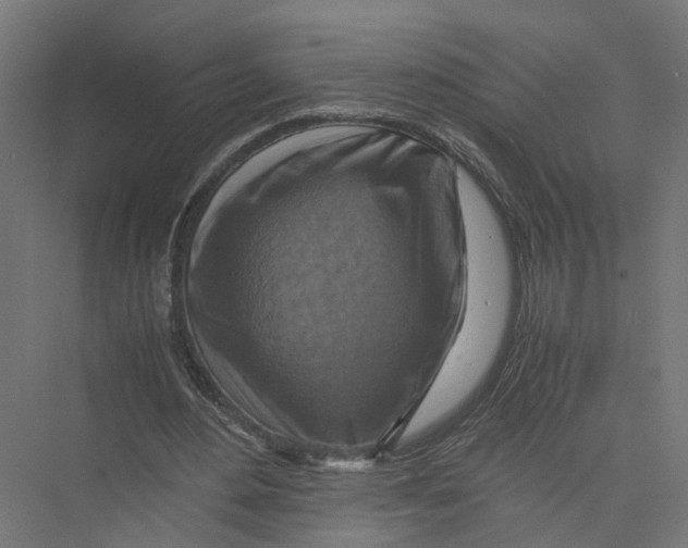 X0000075380484200610061843