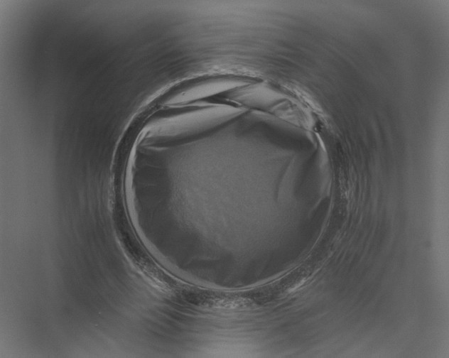 X0000075380488200610061843