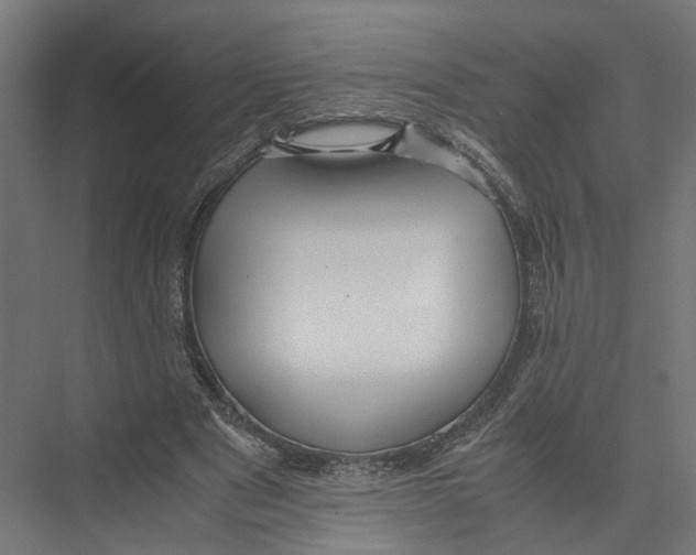 X0000075380489200610061843