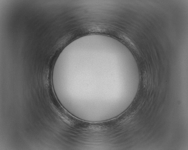 X0000075380490200610061842