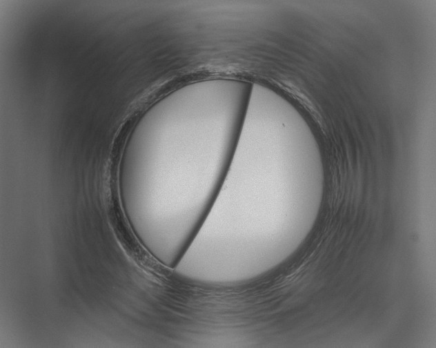 X0000075380492200610061842