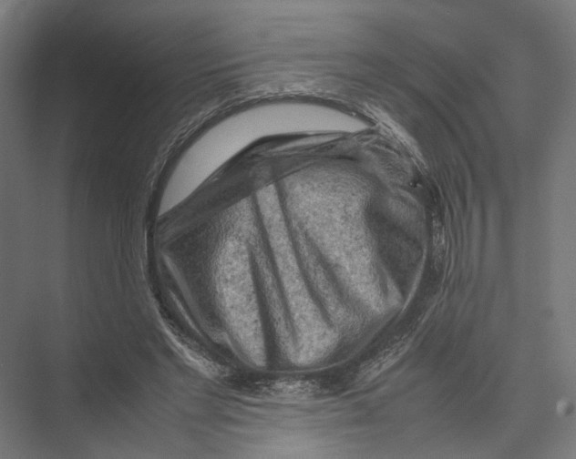 X0000075380493200610061842