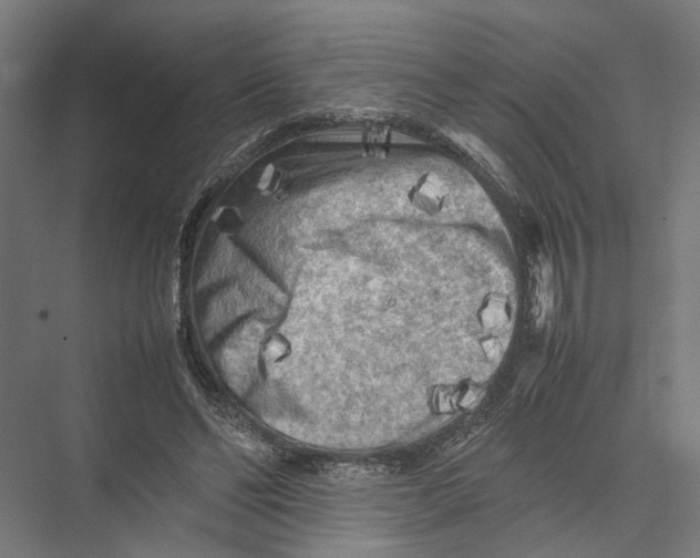 X0000075380494200610061842