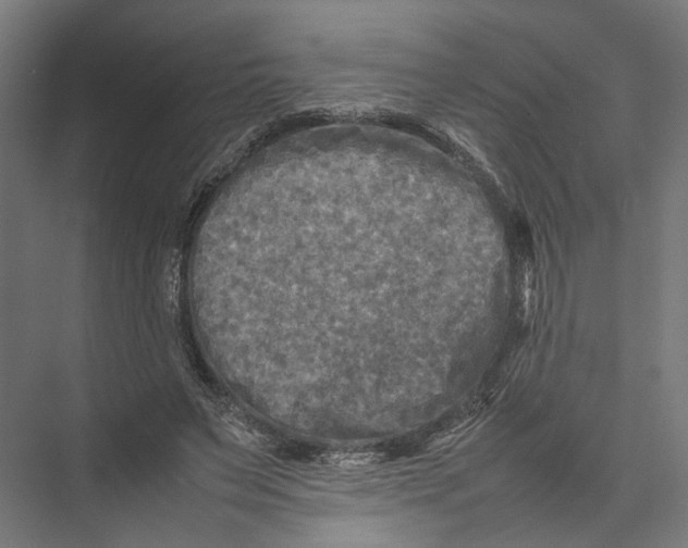 X0000075380495200610061842