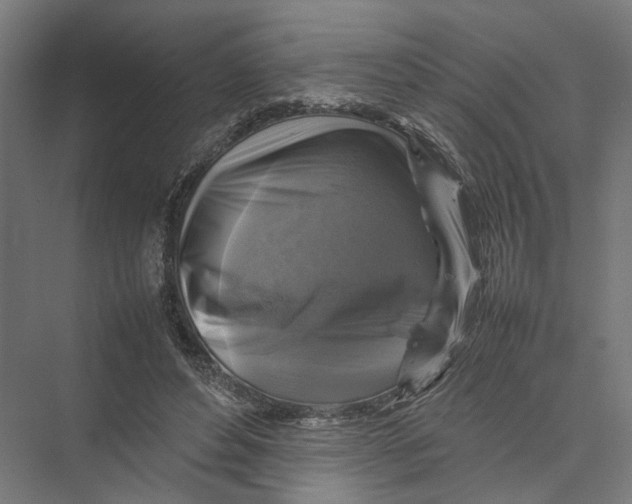 X0000075380496200610061842