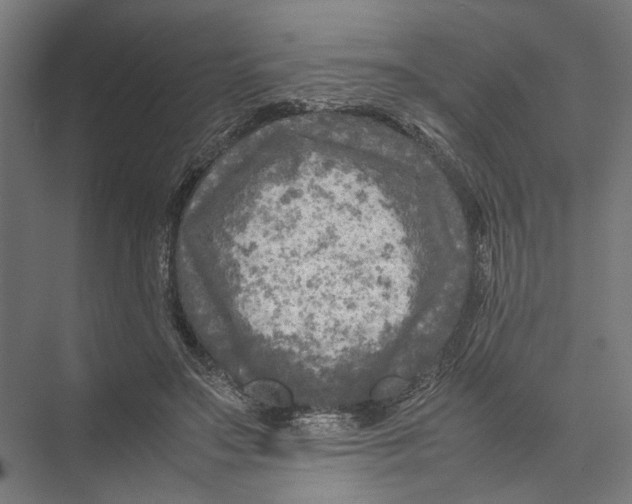 X0000075380499200610061842