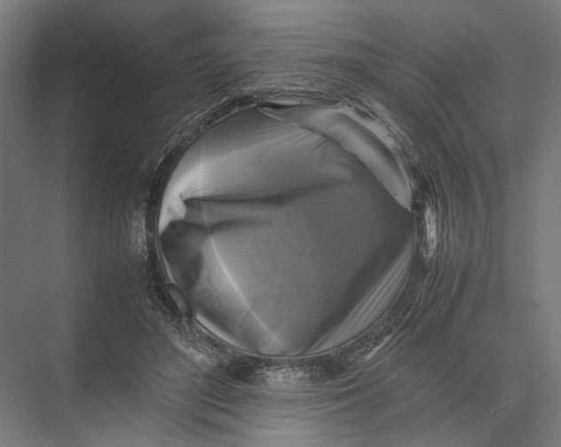 X0000075380500200610061842