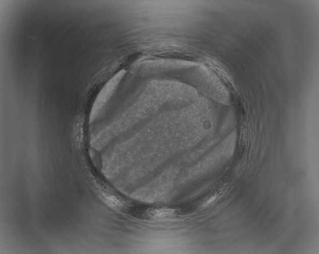 X0000075380501200610061842