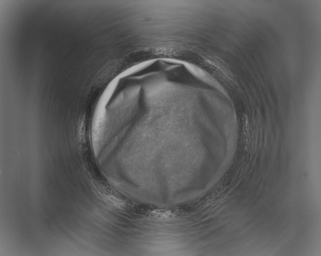 X0000075380502200610061842