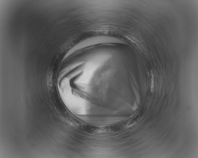 X0000075380504200610061842