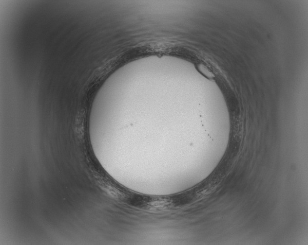 X0000075380505200610061842