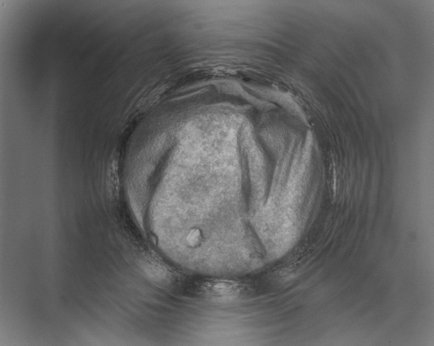 X0000075380506200610061842