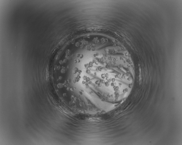 X0000075380508200610061842