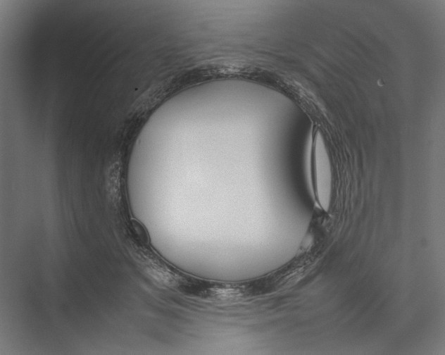 X0000075380509200610061842