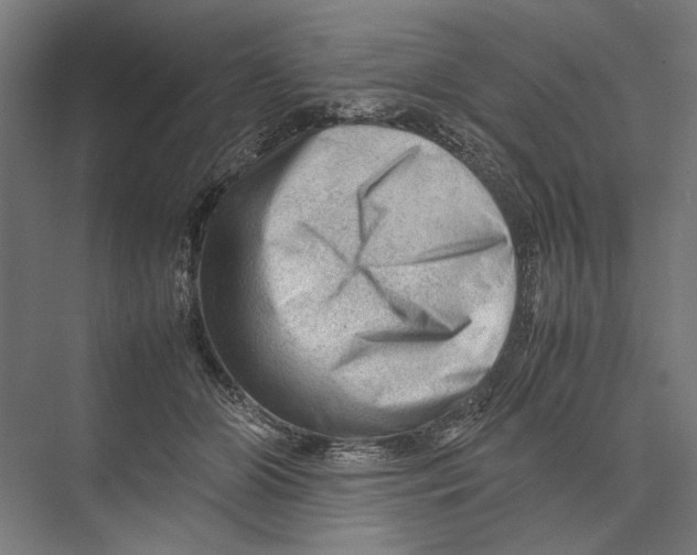 X0000075380510200610061842