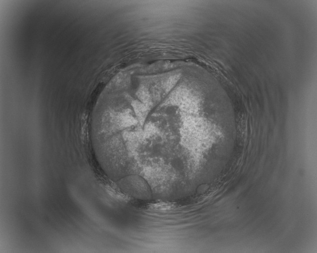 X0000075380511200610061842