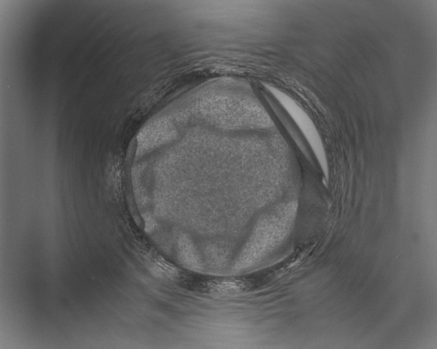 X0000075380513200610061842