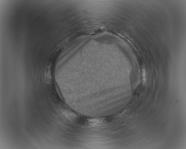 X0000075380516200610061842