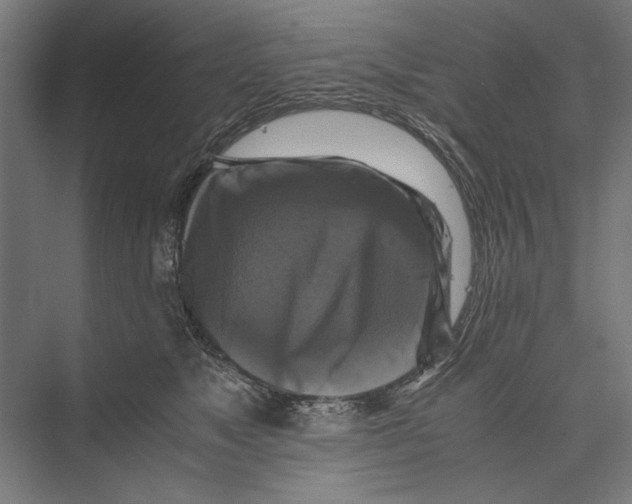 X0000075380517200610061842