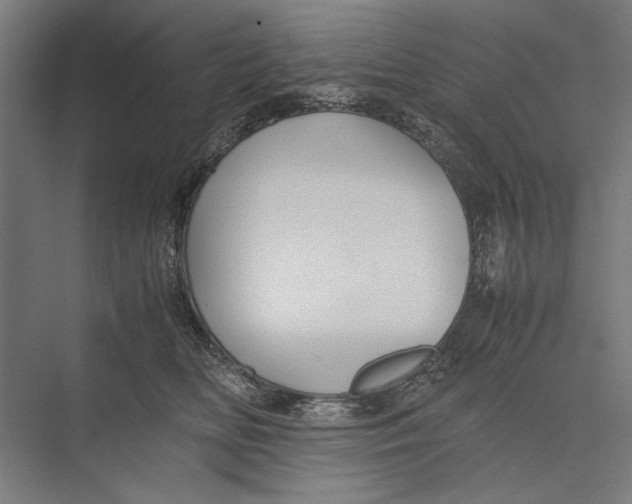 X0000075380518200610061842