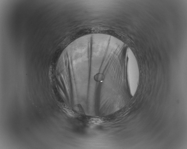 X0000075380519200610061842