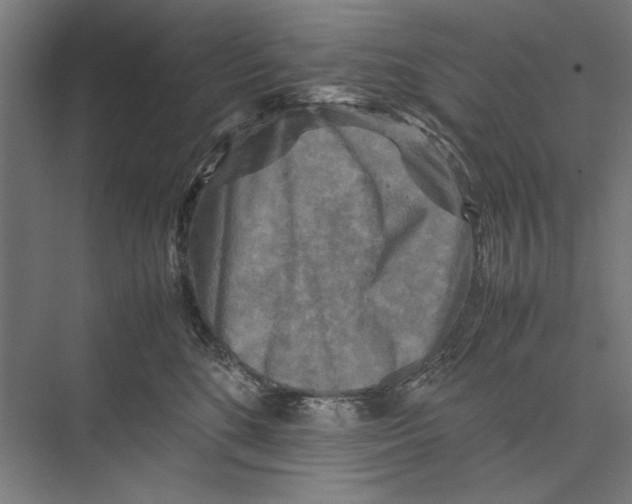 X0000075380520200610061842