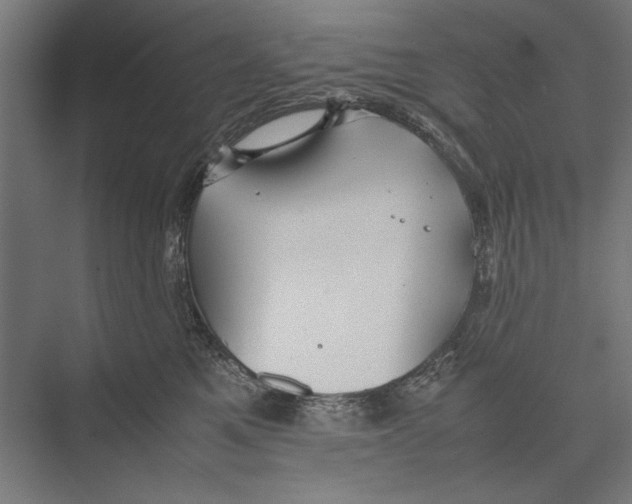 X0000075380521200610061842