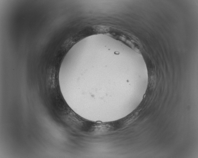 X0000075380525200610061842