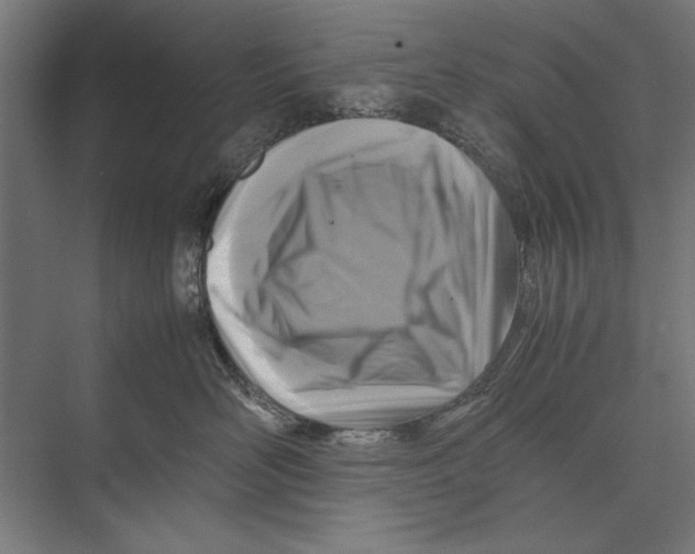 X0000075380526200610061842