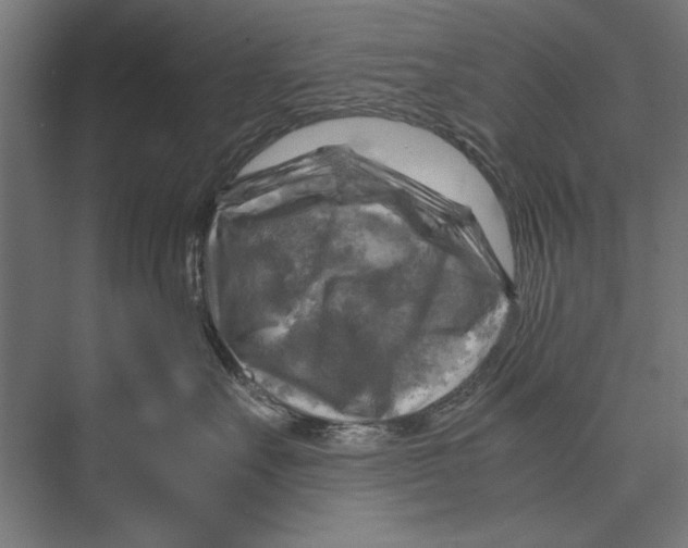 X0000075380527200610061842