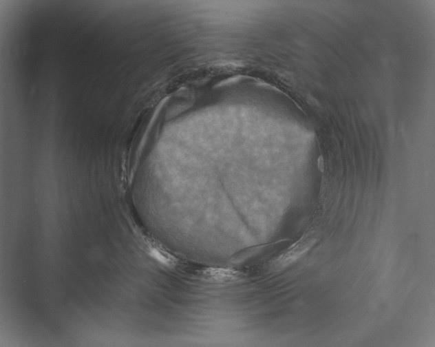 X0000075380528200610061842