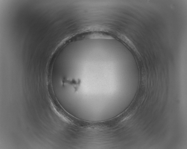 X0000075380530200610061841