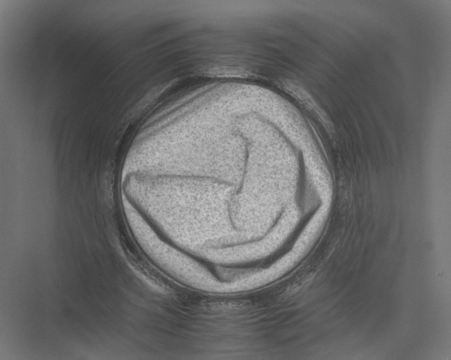 X0000075380533200610061841