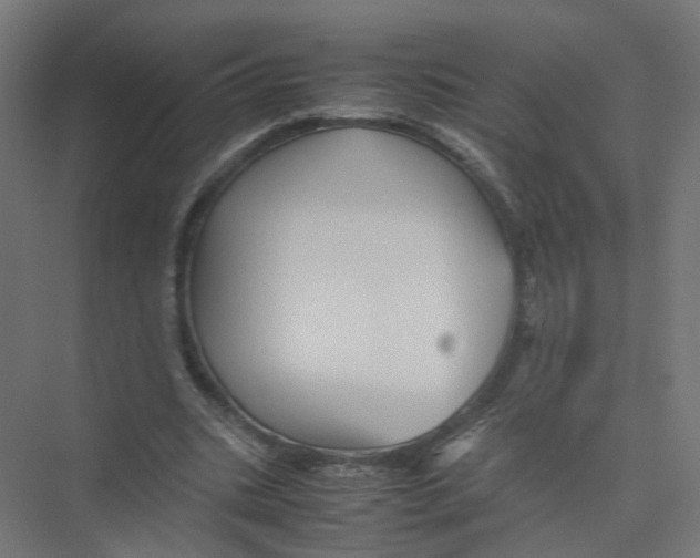 X0000075380535200610061841