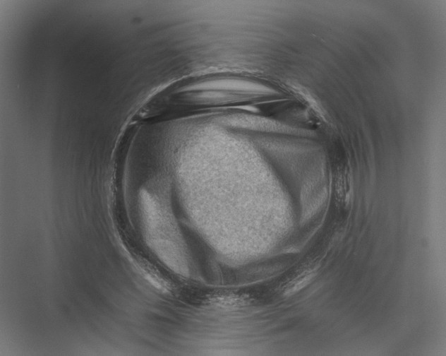 X0000075380540200610061841