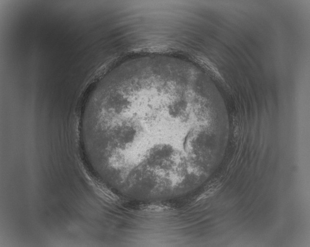 X0000075380542200610061841