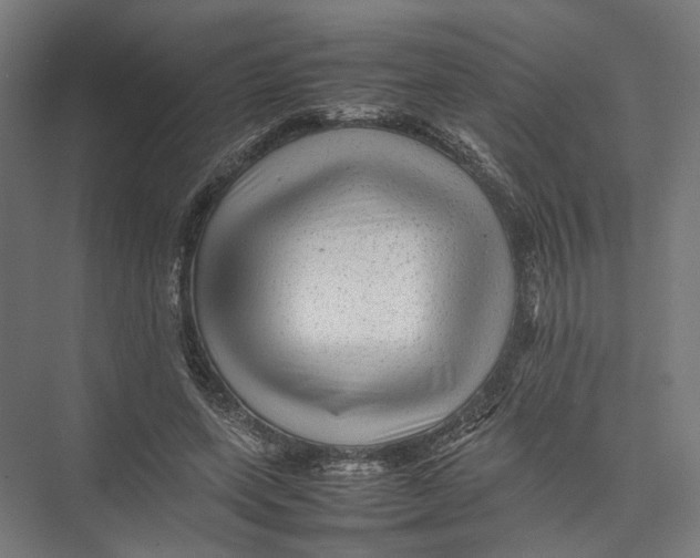 X0000075380543200610061841