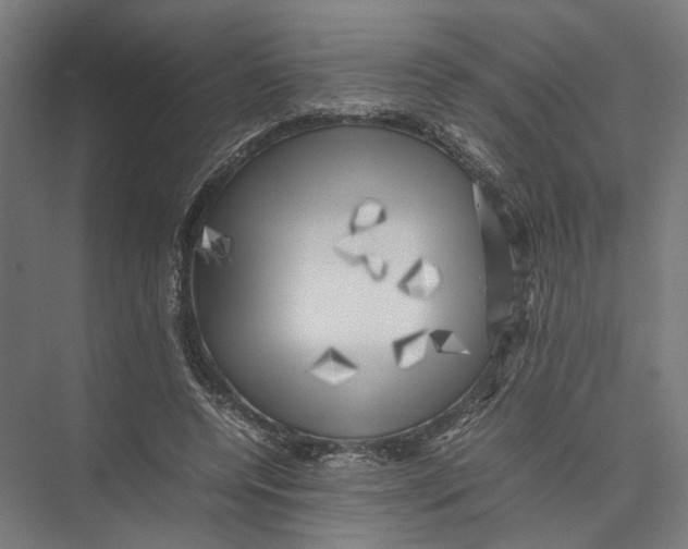 X0000075380544200610061841