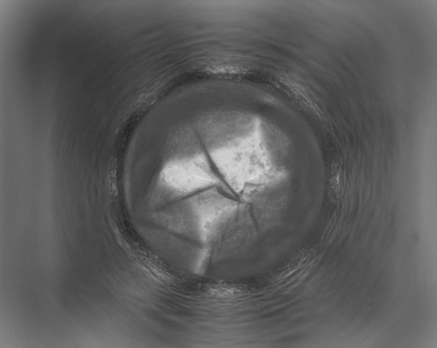 X0000075380547200610061841