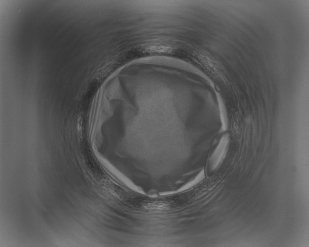 X0000075380551200610061841