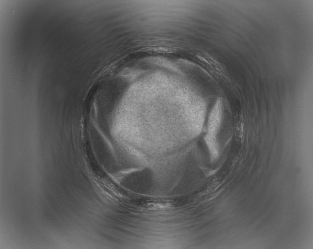 X0000075380552200610061841