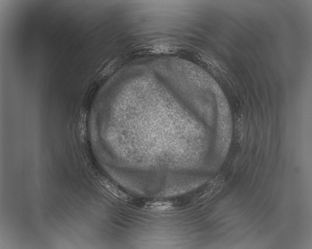 X0000075380554200610061841