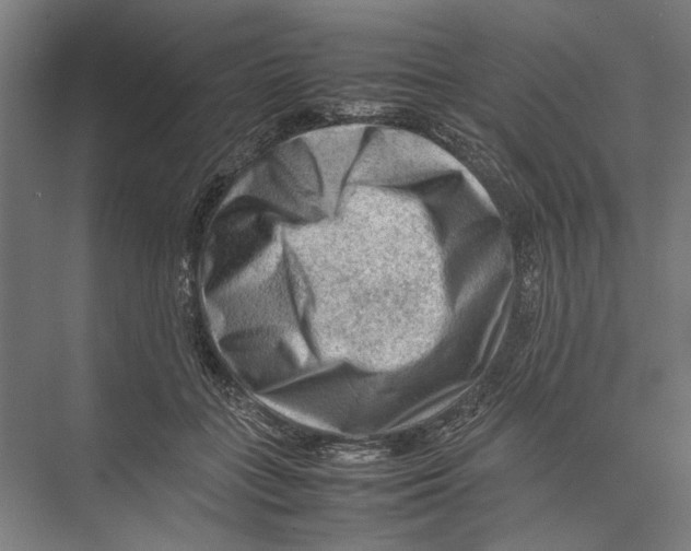 X0000075380555200610061841