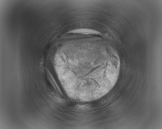 X0000075380557200610061842